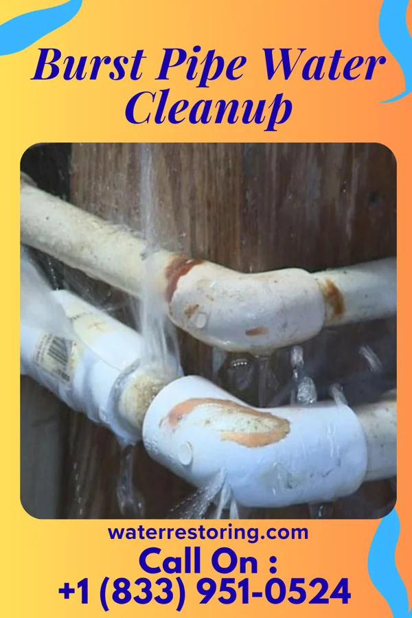 Burst Pipe Water Cleanup in Comfrey, MN