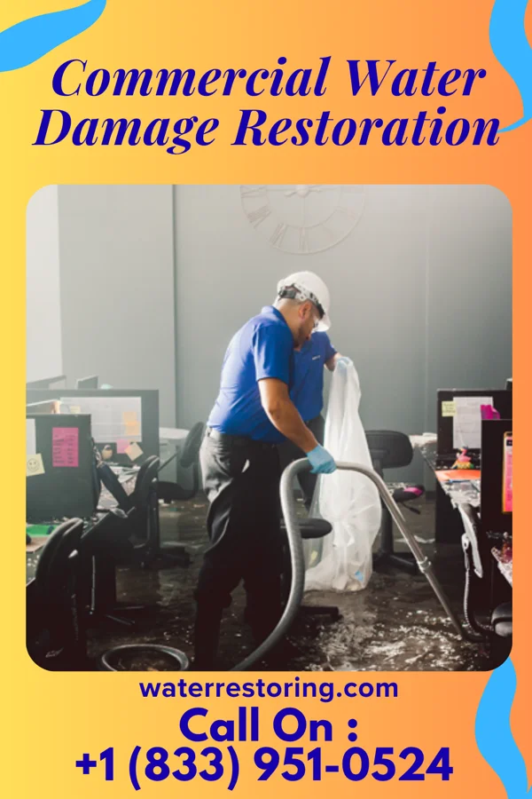 Commercial Water Damage Restoration in Comfrey, MN