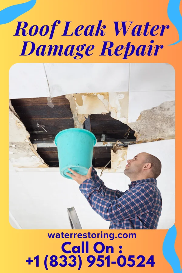 Roof Leak Water Damage Repair in Comfrey, MN